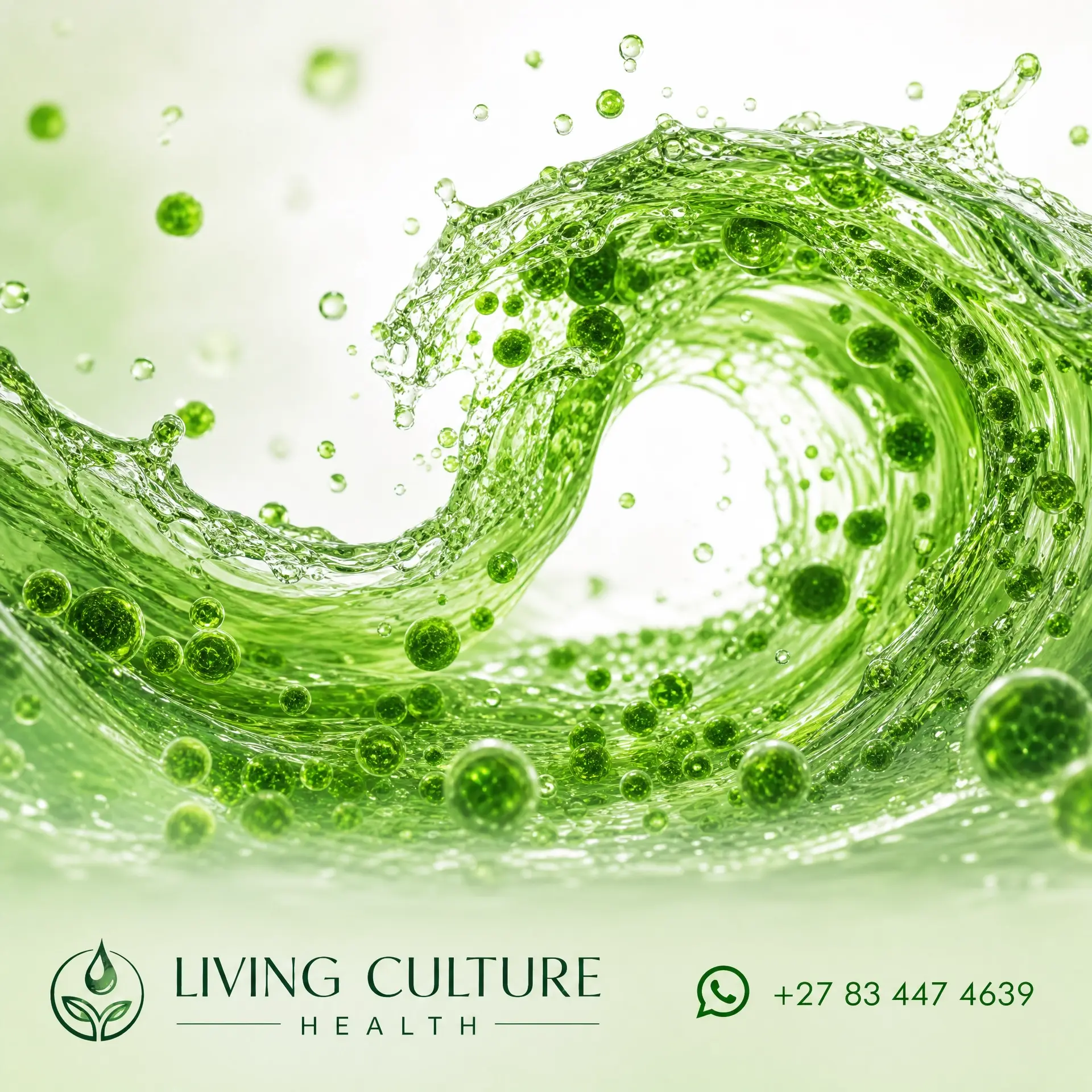 Premium Chlorella Growth Fertilizer 1kg — Living Culture Health