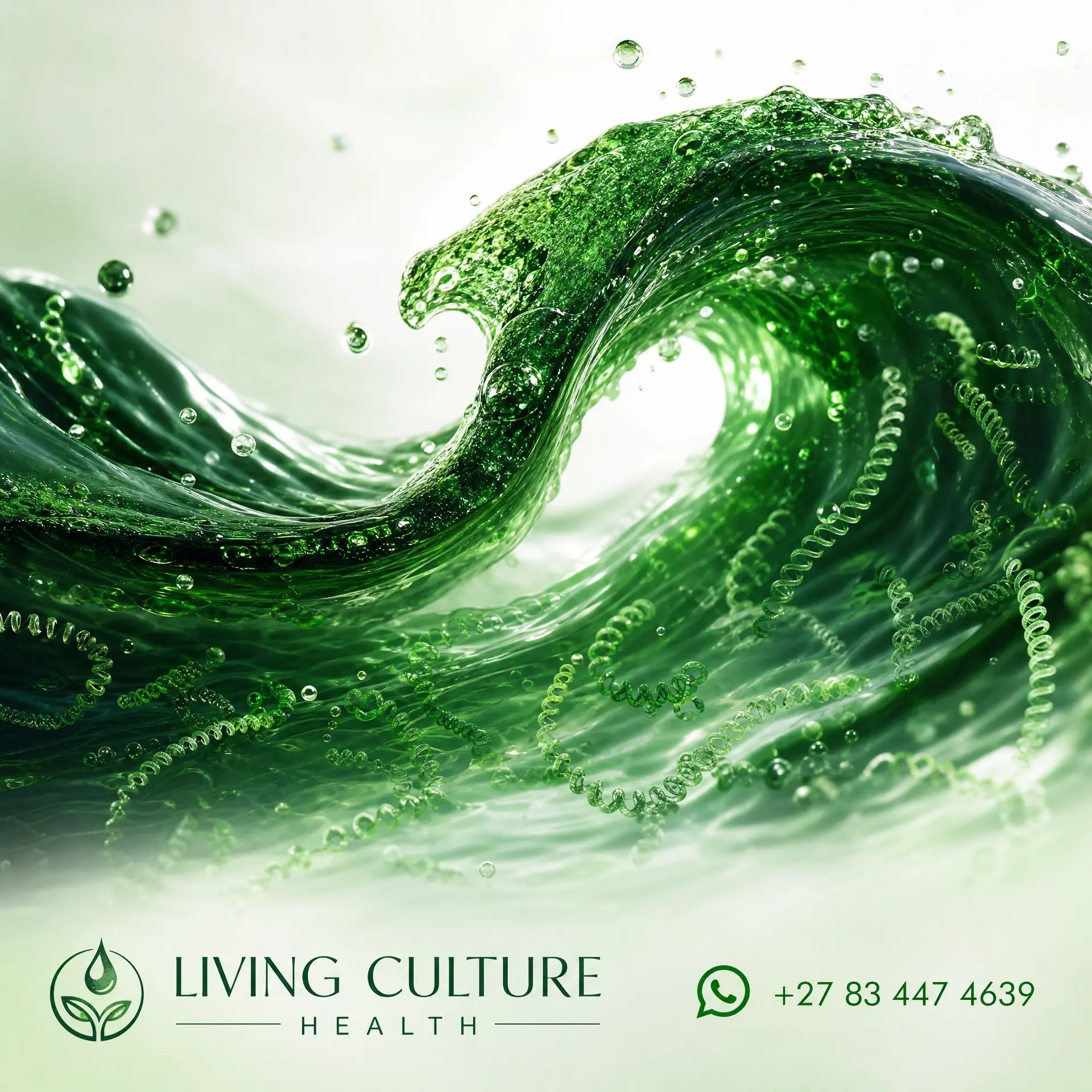 Premium Spirulina Growth Fertilizer 1kg — Living Culture Health